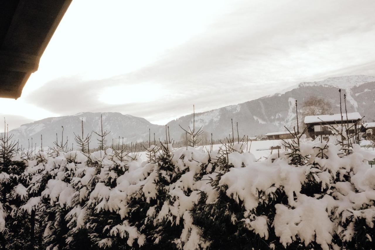 Bergblick * Saalfelden