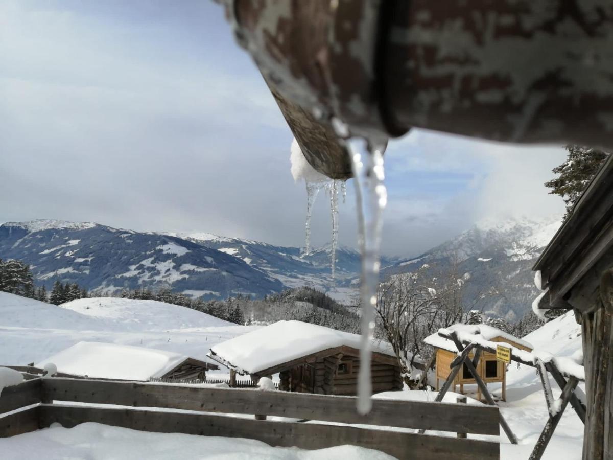 Bergblick Apartment Saalfelden