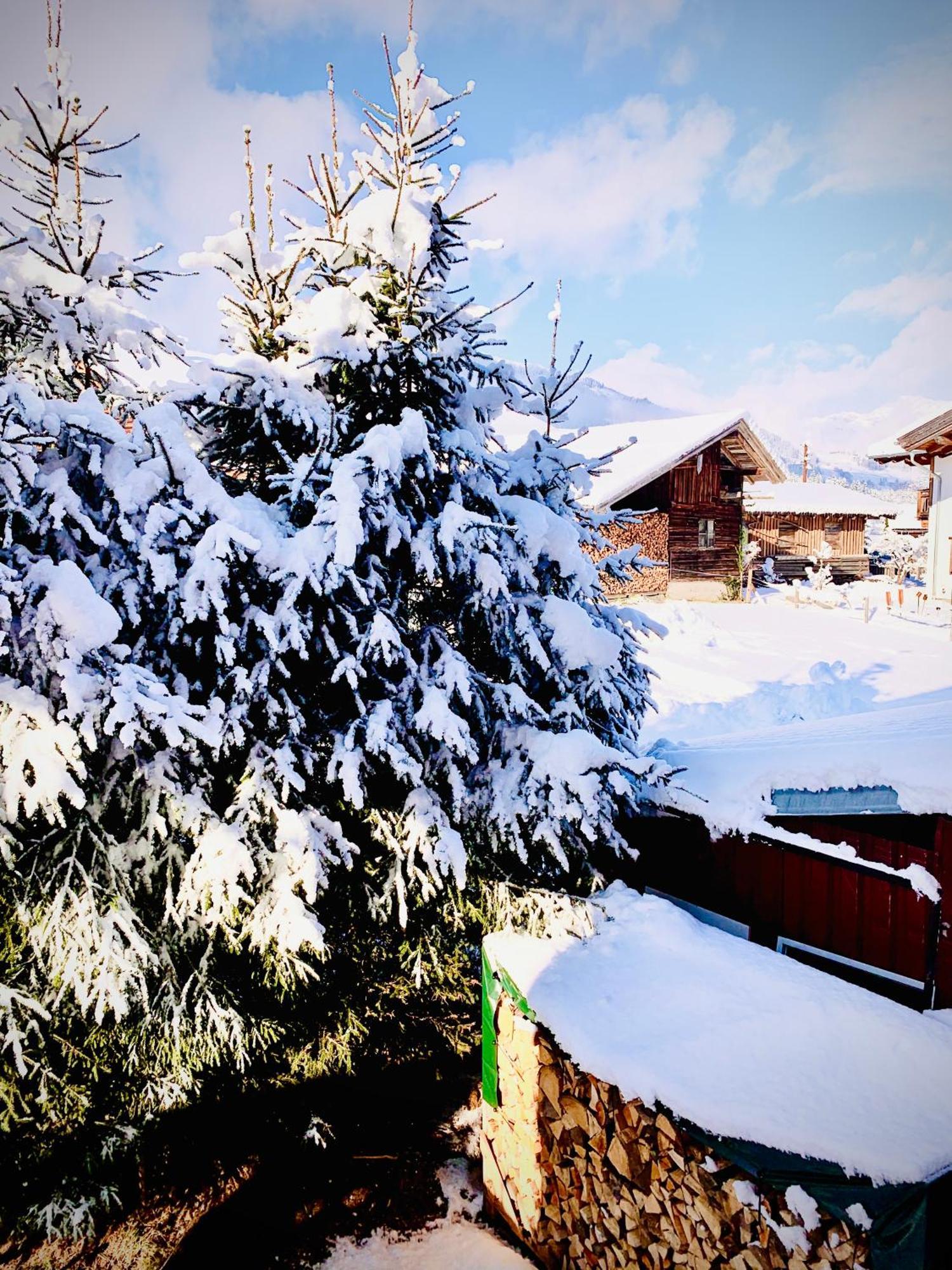 Bergblick Apartment Saalfelden